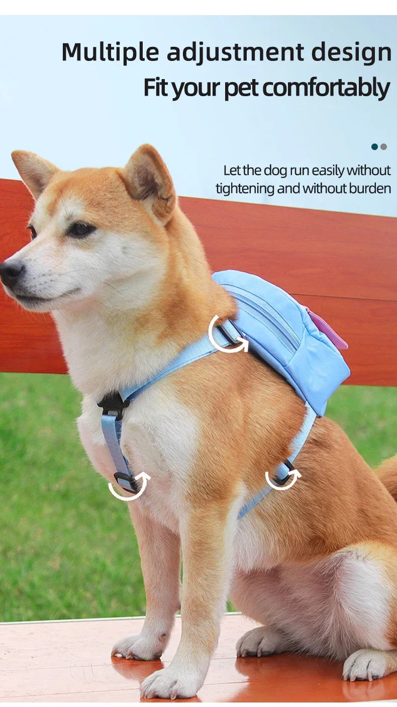 Dog Harness & Leash Set with Treat Pouch – Breathable No-Pull Puppy Harness for Small Dogs – Outdoor Training & Walking Kit