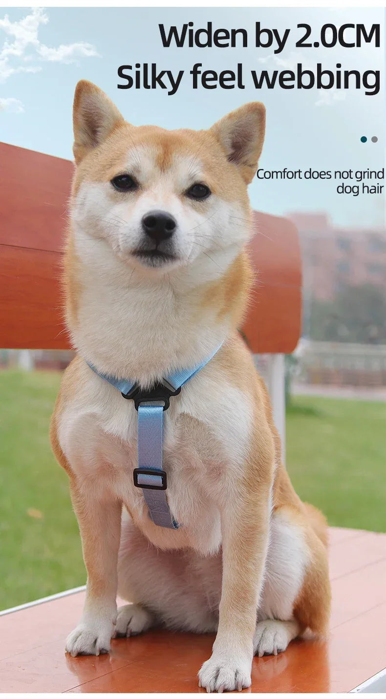Dog Harness & Leash Set with Treat Pouch – Breathable No-Pull Puppy Harness for Small Dogs – Outdoor Training & Walking Kit