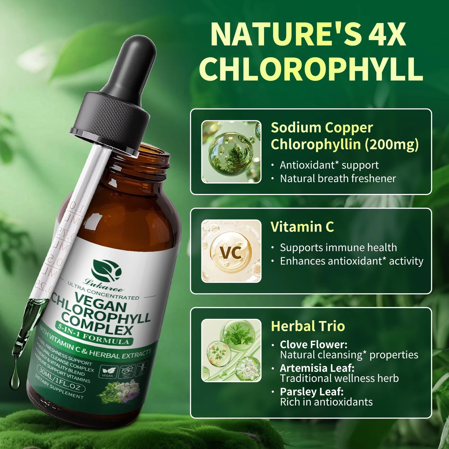 Chlorophyll Liquid Drops 30ml – Natural Internal Deodorant, Gut Health, Skin Clarity & Immune Support – Vegan, Sugar-Free