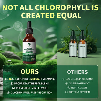Chlorophyll Liquid Drops 30ml – Natural Internal Deodorant, Gut Health, Skin Clarity & Immune Support – Vegan, Sugar-Free