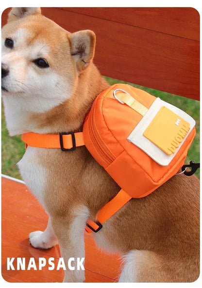 Dog Harness & Leash Set with Treat Pouch – Breathable No-Pull Puppy Harness for Small Dogs – Outdoor Training & Walking Kit
