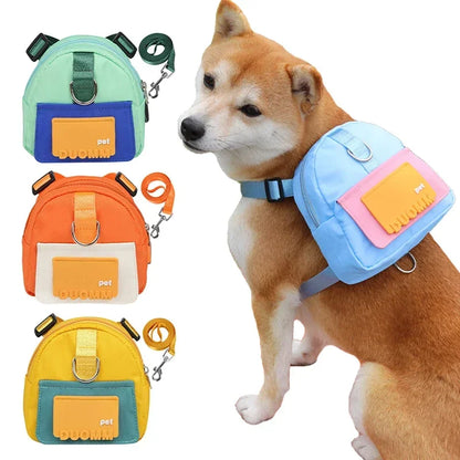 Dog Harness & Leash Set with Treat Pouch – Breathable No-Pull Puppy Harness for Small Dogs – Outdoor Training & Walking Kit