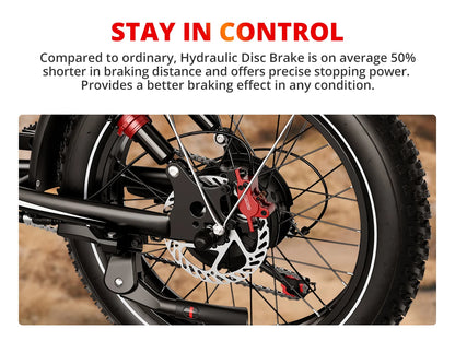 AMYET S8 2000W Dual Motor Electric Bike | 75+ Mile Range, Fat Tire Ebike | Origin Zero